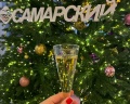 Самарский: отзыв от Ирина Преснякова