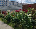 Holiday House: отзыв от Ирина Батрунова