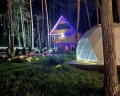 Royal Forest: отзыв от Polina М.