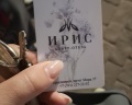 Ирис: отзыв от Стефания Юрьевна