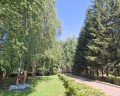 Жемчужина: отзыв от Светлана Тамасова