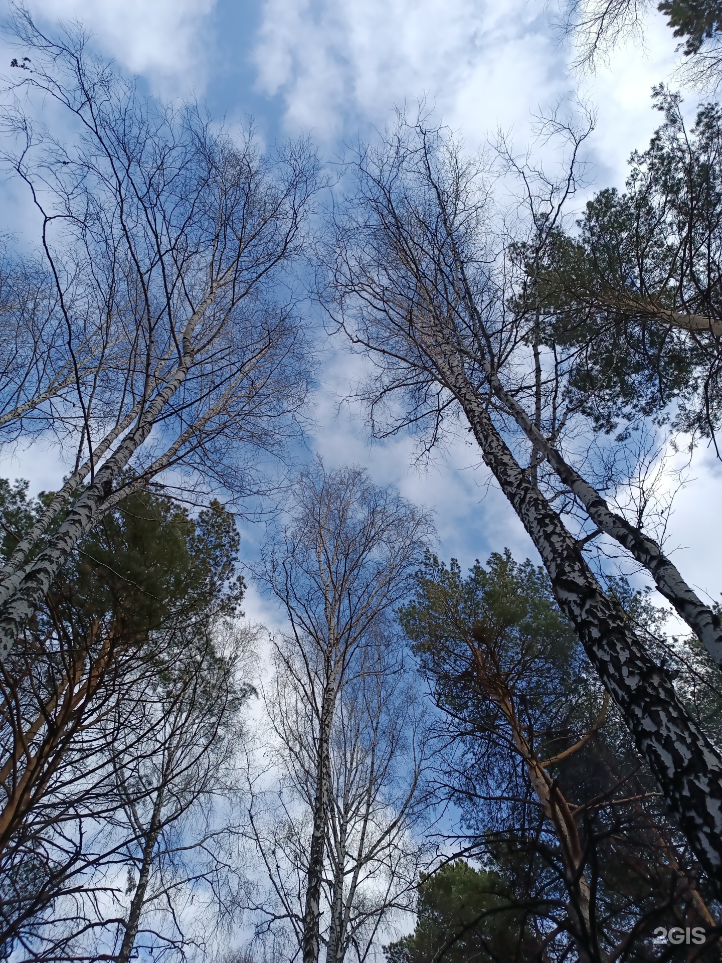 Nature village, Софийская, 17/1, Новосибирск — 2ГИС