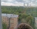 Sky Garden: отзыв от Ольга Ромаева