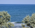Dream hotel Anapa: отзыв от Светлана Т