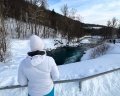 Усадьба Золотой лев: отзыв от Анастасия Р
