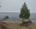 Мир маяков: отзыв от Алла Хмарова