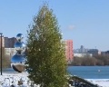 Парк «Арена»: отзыв от Zima