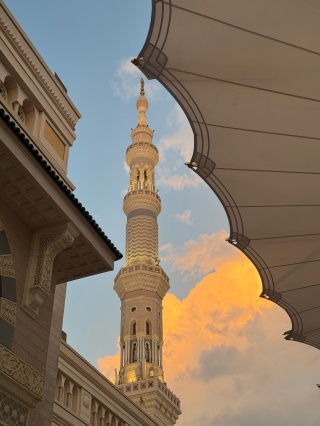 Пойыз купесінде сұлуды былғайды