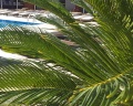 Dream hotel Anapa: отзыв от Светлана Т