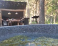 Shalash and Forest: отзыв от Аgness An