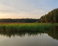 Нешалаши: отзыв от Денис Зиновьев