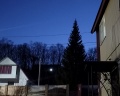 Лотос: отзыв от 88STE PAN88