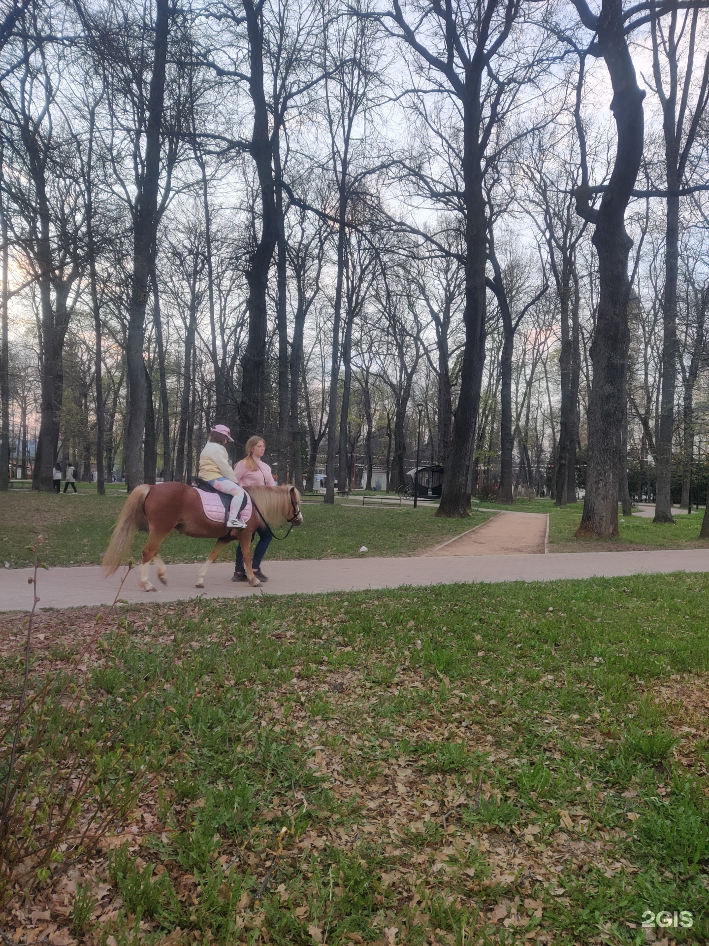 Центральный городской парк культуры и отдыха, парк семейного отдыха, Калуга,  Калуга — 2ГИС