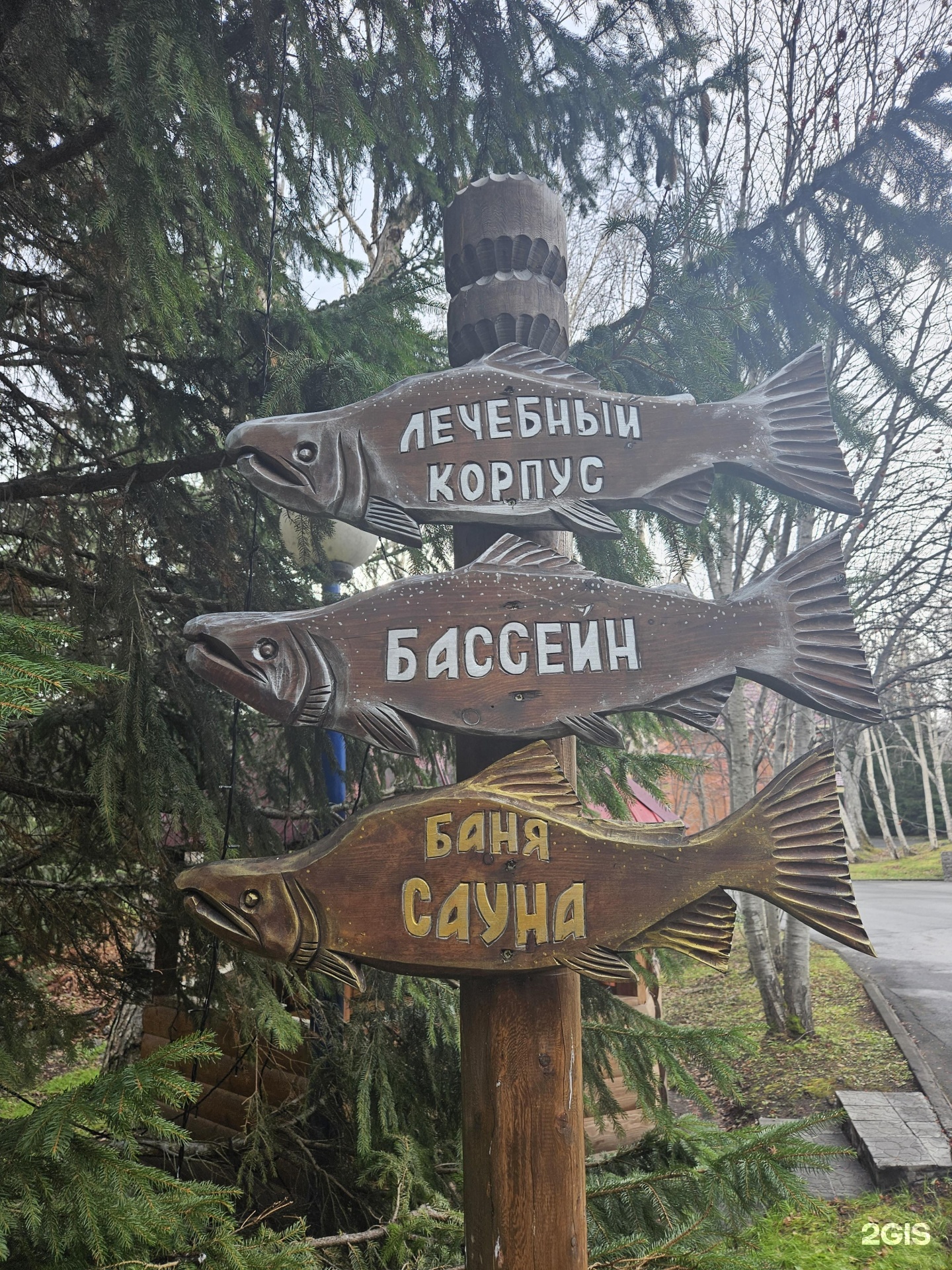 Пансионат светлячок паратунка