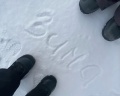Снегири: отзыв от Елена Орлова