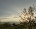 The Garden: отзыв от Anly Oy