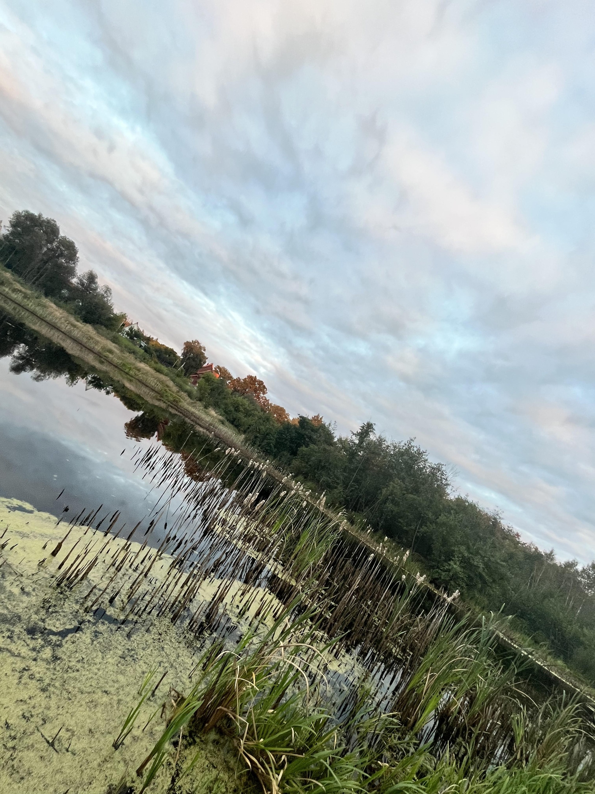 Ёлки, загородный клуб, 3 км от п. Маклок, 11, Воронеж — 2ГИС