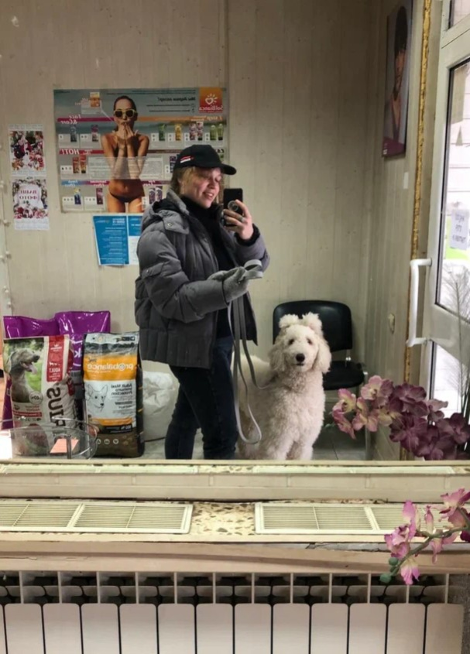 Pro Grooming Dogs, улица Дзержинского, 45, Иваново — 2ГИС