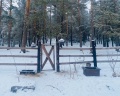 Вереск: отзыв от Екатерина Ложкина