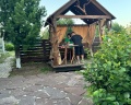 Барбарис: отзыв от Алена