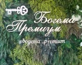 Богема-премиум: отзыв от София Колчугина