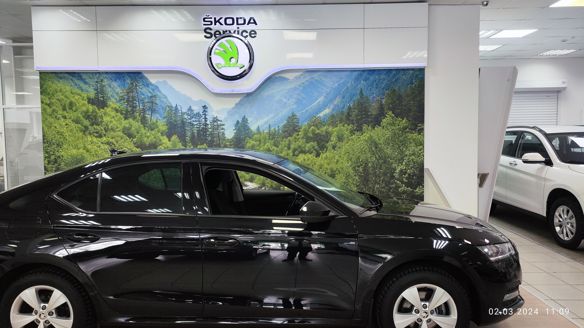 Автомир Богемия Ярославль, официальный дилер Skoda, Ленинградский проспект,  33, Ярославль — 2ГИС