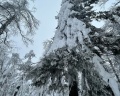 Территория: отзыв от Сергей Сунцов