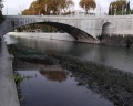 Морская звезда: отзыв от Татьяна Аксёнова