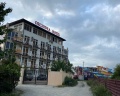 Орхидея: отзыв от Dan Vo