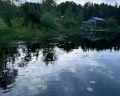 Уютные Ёлы: отзыв от Вика Костромина