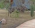 Kedr camp: отзыв от Сергей Опякин
