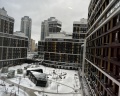 Белый клевер: отзыв от Юлия Лисьева