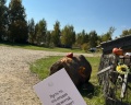 Философия отдыха: отзыв от Olga P