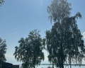 Green Park Кум-Куль: отзыв от Анастасия 97