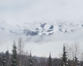 White hill: отзыв от Елена .