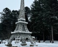 Кедровый бор: отзыв от Дарья