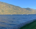 Altay Village Teletskoe: отзыв от Татьяна Сластина