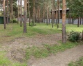 Шышки: отзыв от Анастасия Сухих