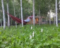 Загорские Дубки: отзыв от Татьяна Корунас