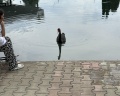 Azanta: отзыв от Andrey Solovyev