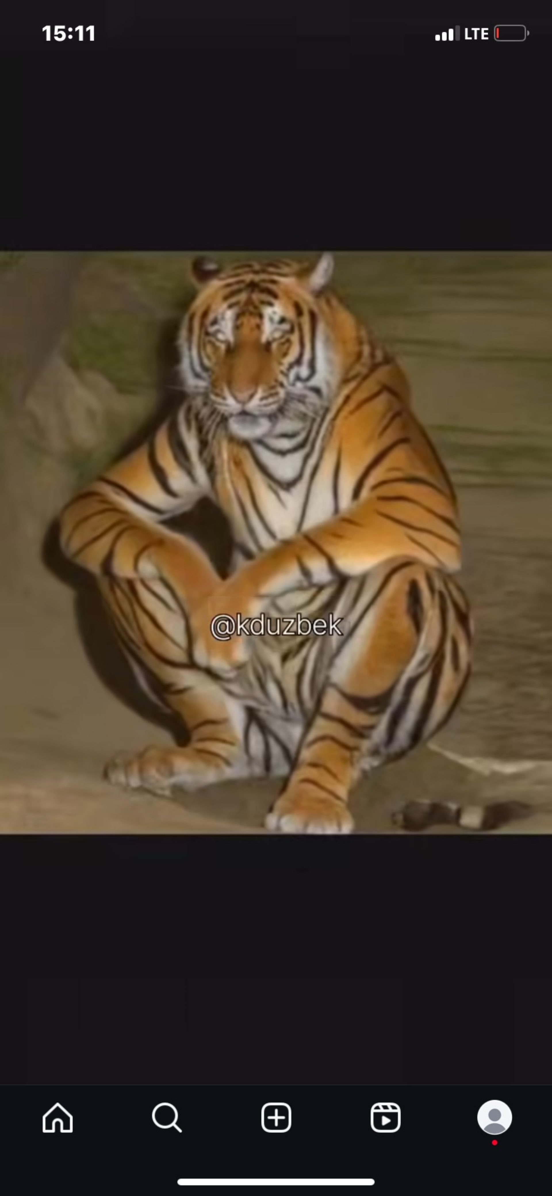 Порно әйел оргазмын айқайлайды