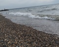 Парк «У моря Обского»: отзыв от Дарья Александрова