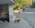 Кисегач: отзыв от Сергей Дерябкин
