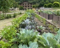 Deer farm: отзыв от Sberid User