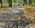Парк 50-летия Октября: отзыв от Екатерина Бочкарева