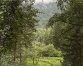 Pinewood resort&SPA: отзыв от Наталья Лукьянова