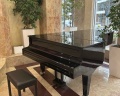City park hotel Sochi: отзыв от Евгений Радикович