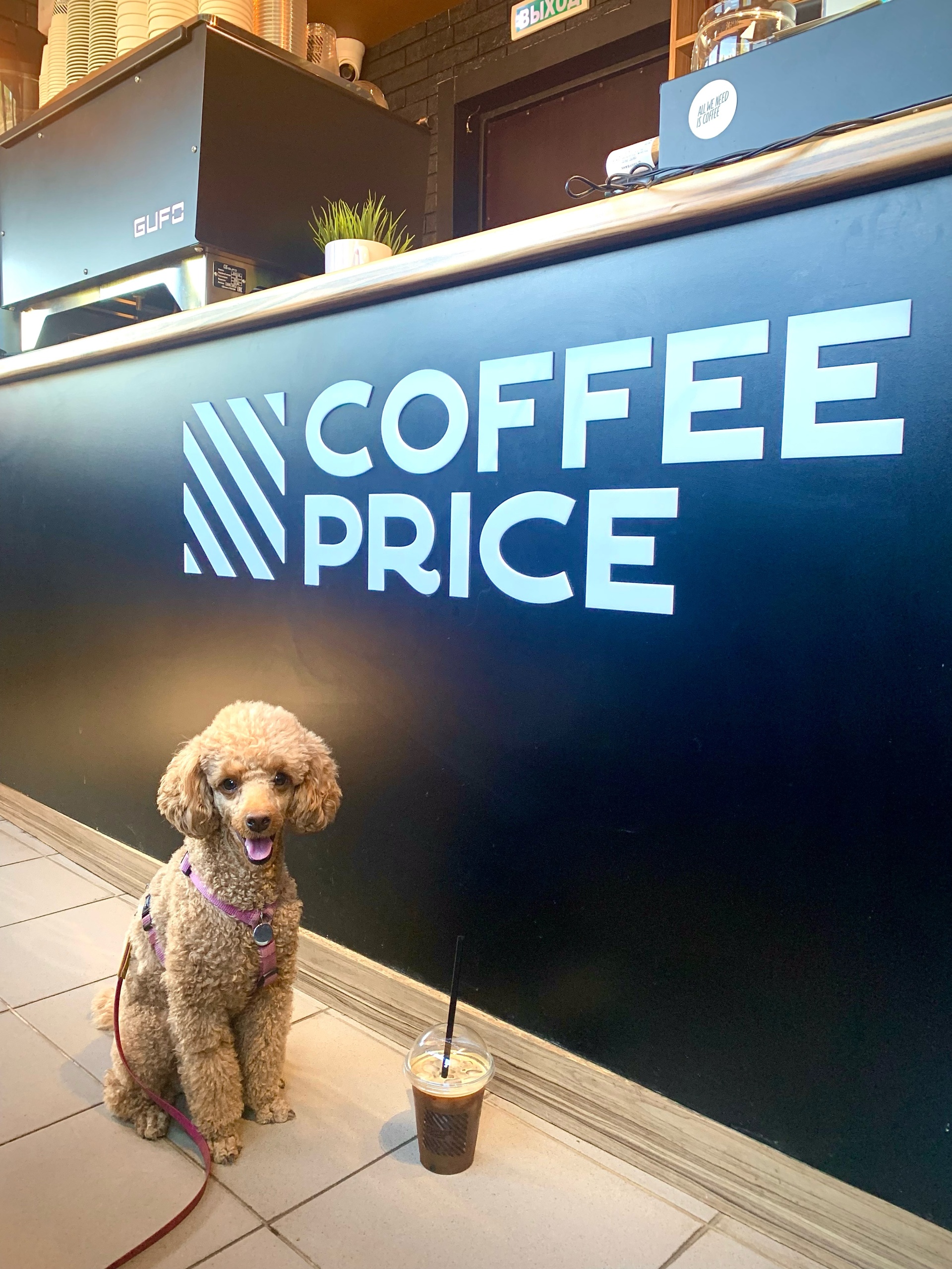 Coffee price, кофейня, площадь Конституции, 2/3 киоск, Кострома — 2ГИС