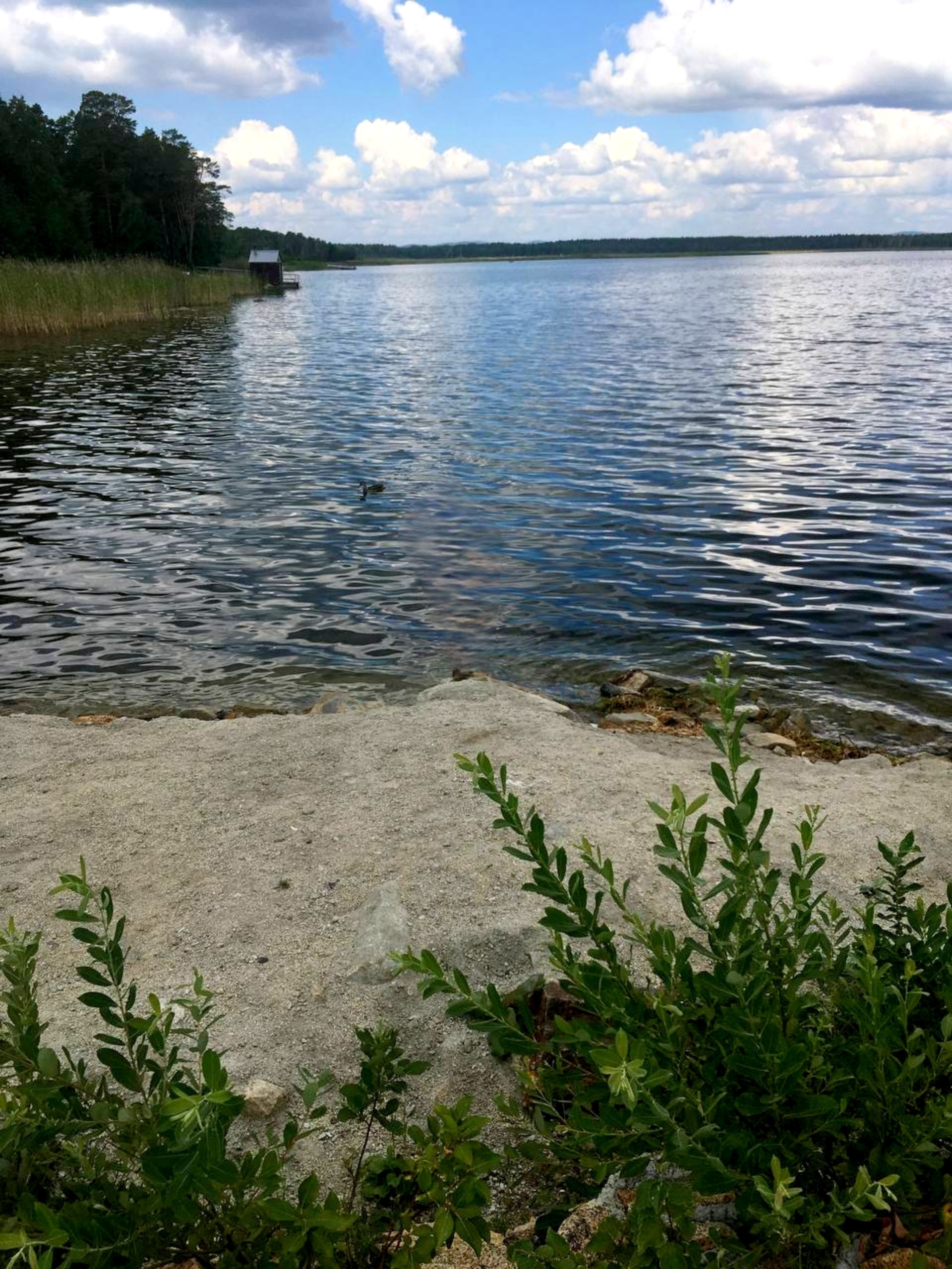 Челябинская область, Озеро Акакуль — 2ГИС