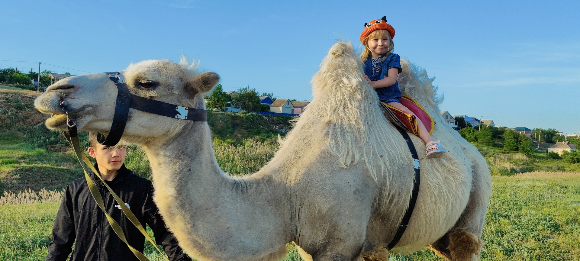 Верблюжий остров, 3-й Каспийский проезд, 5, Элиста — 2ГИС